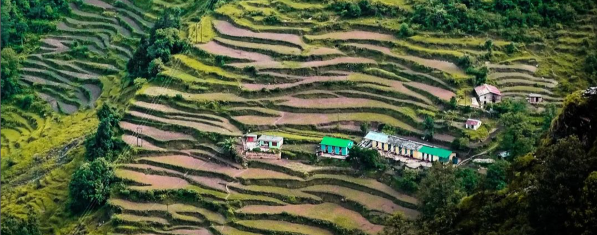 Milam Background Image Milam Background Image